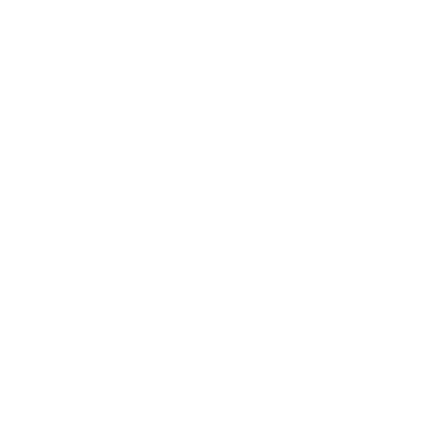 Flo Erdmann